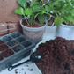 🔥🔥HEUTIGES SONDERANGEBOT⏰ Organische Kokosnussschalen für Pflanzen🥥🌱