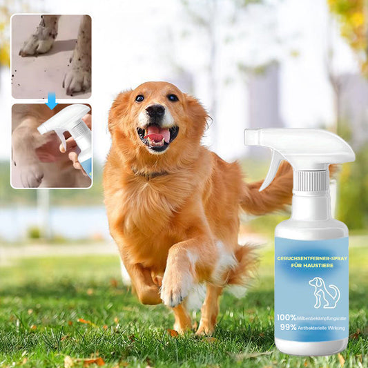Geruchsentferner-Spray für Haustiere🐕🌟
