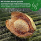 🔥🔥HEUTIGES SONDERANGEBOT⏰ Organische Kokosnussschalen für Pflanzen🥥🌱